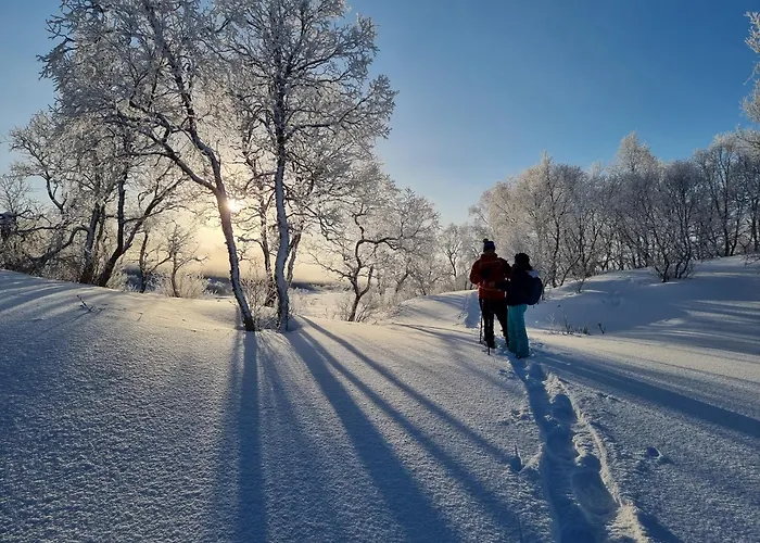 Ringstad Resort